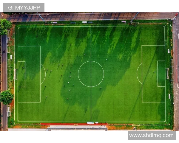 足球场草皮技术揭秘