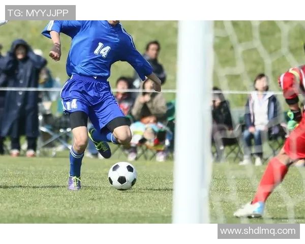 欧洲杯球队心理素质训练及比赛表现